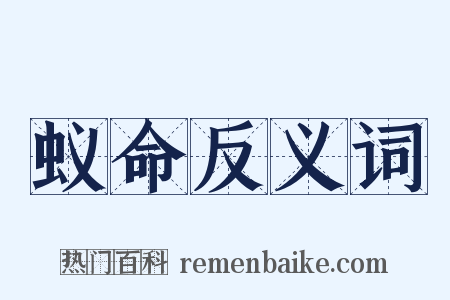 蚁命反义词是什么意思的图片
